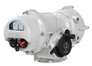 Rotork IQT intelligent actuator.jpg